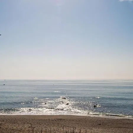 Del Mar D1 9 Casares